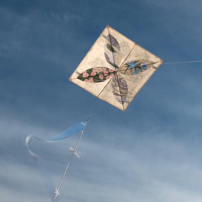 Clubskimmers Kite by Stevie Choi